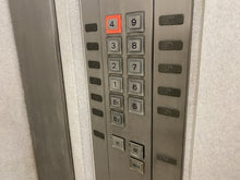 画像をギャラリービューアに読み込む, ★送料無料★5年間除菌・抗菌効果が持続!(ZiAX Neo 250ml)